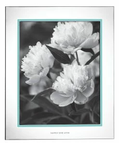 Kate Spade Home Décor Take The Cake™ 8" X 10" Frame