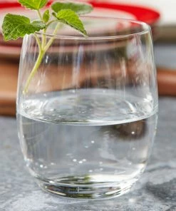 Lenox Drinkware Tuscany Classics Small Tumbler Set, Buy 4 Get 6