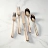 Lenox Flatware Colebrook 5-Piece Place Setting