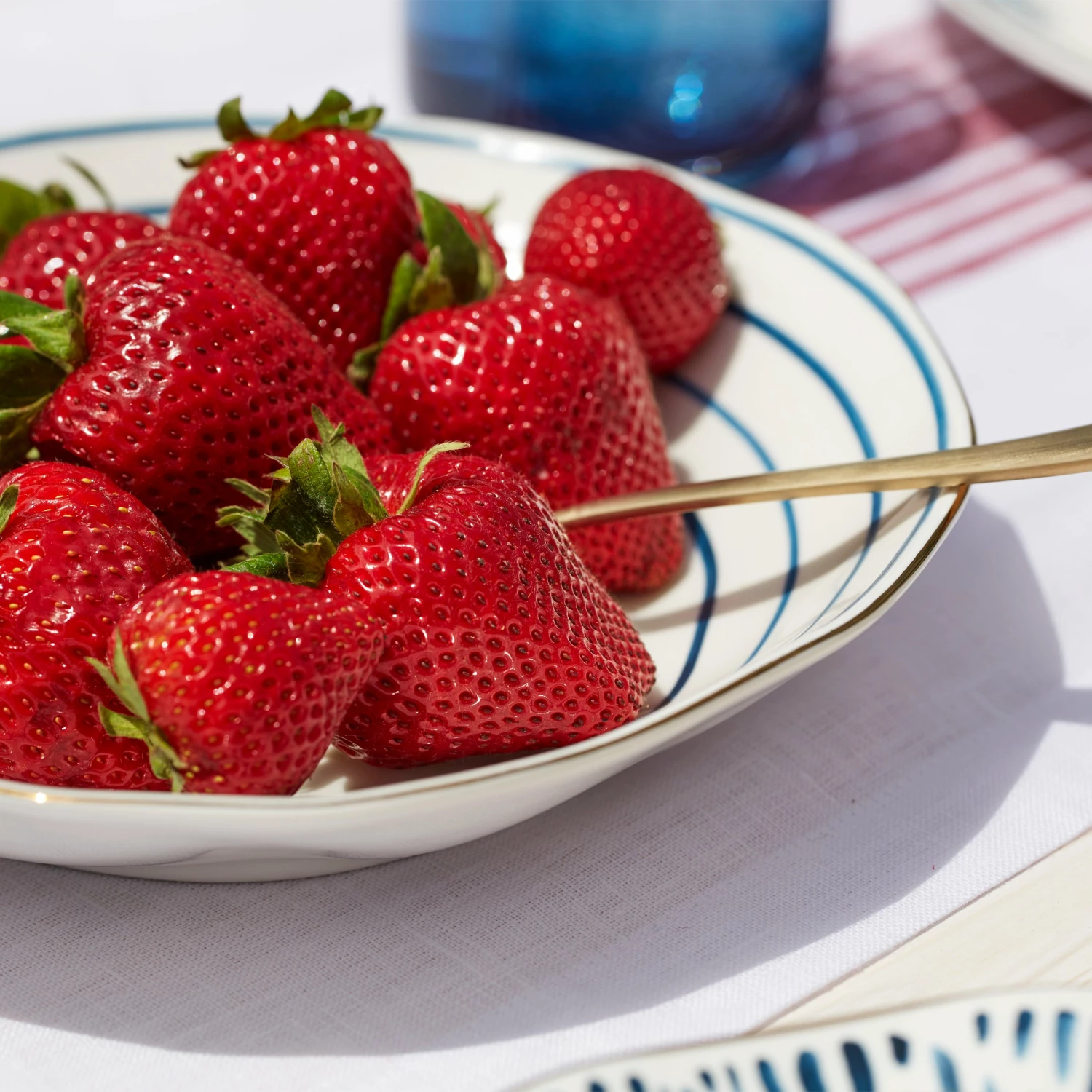 Lenox Blue Bay 4-piece Set Pasta Bowls