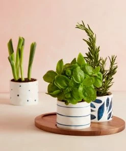 Lenox Blue Bay™ 4-piece Snack Bowl & Tray Set Dinnerware