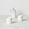 Kate Spade Blossom Lane 4-Piece Mug Set Dinnerware