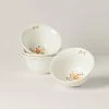 Lenox Profile Harvest 4-Piece All-Purpose Bowl Set Dinnerware